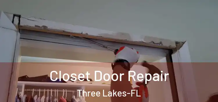 Closet Door Repair Three Lakes-FL