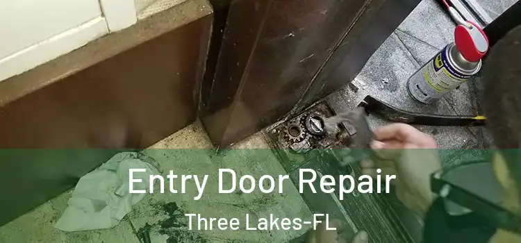 Entry Door Repair Three Lakes-FL