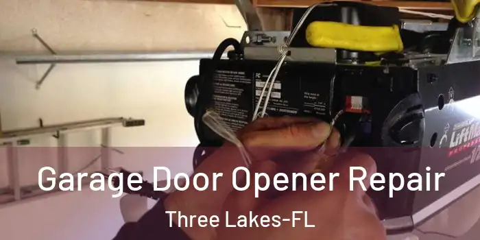 Garage Door Opener Repair Three Lakes-FL