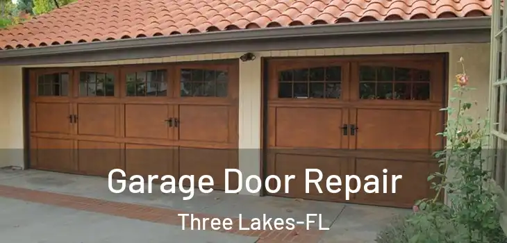 Garage Door Repair Three Lakes-FL