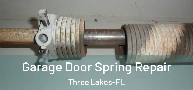 Garage Door Spring Repair Three Lakes-FL