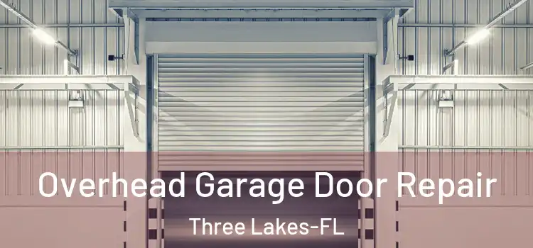 Overhead Garage Door Repair Three Lakes-FL
