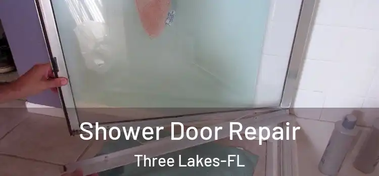 Shower Door Repair Three Lakes-FL